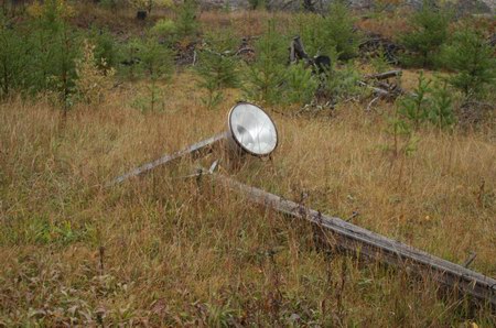 Evergreen Drive-In Theatre - Light